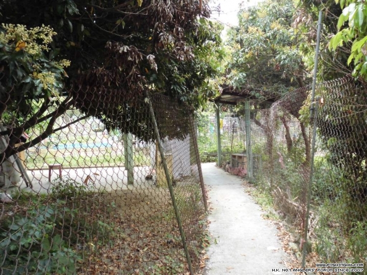 CIMG0174.JPG