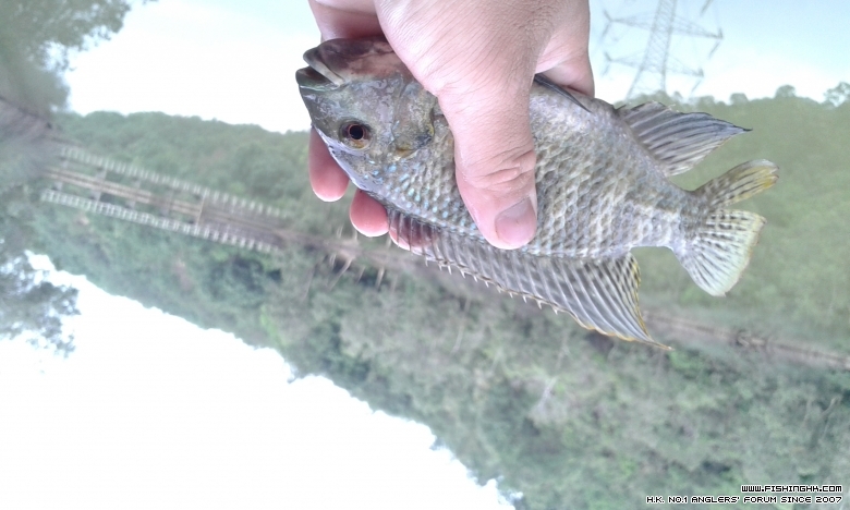 IMG-20150331-WA0002.jpeg
