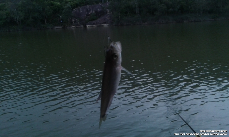 IMG-20150331-WA0011.jpeg