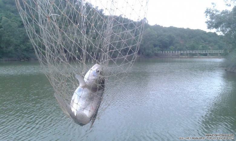 IMG-20150331-WA0013.jpeg