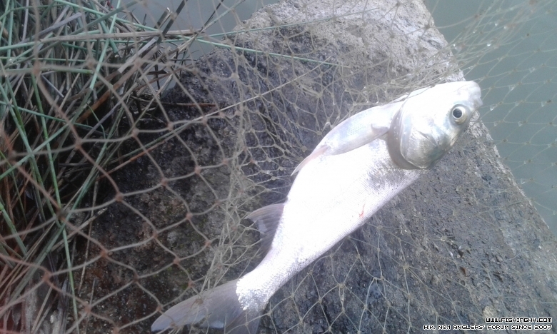 IMG-20150331-WA0015.jpeg
