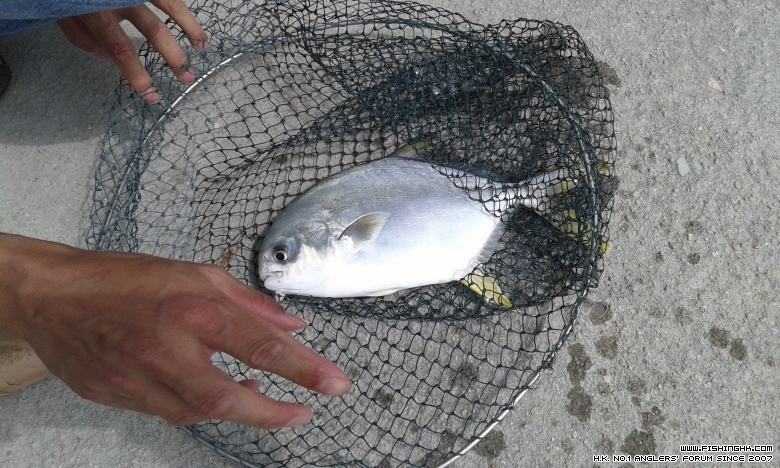20150328_130616.jpg
