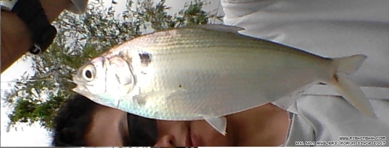 20150328_140103.jpg