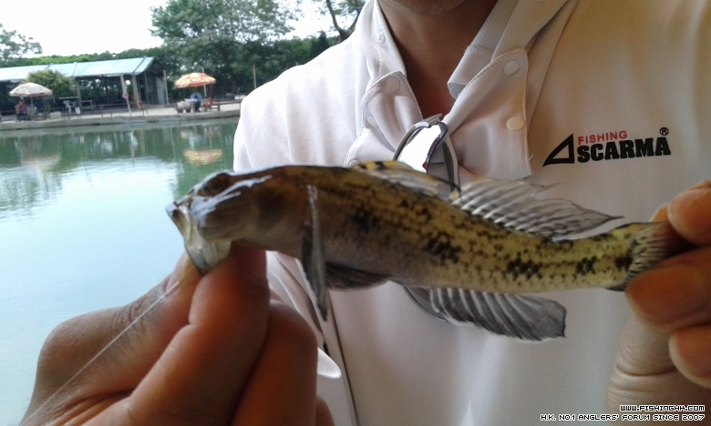 20150328_142900.jpg