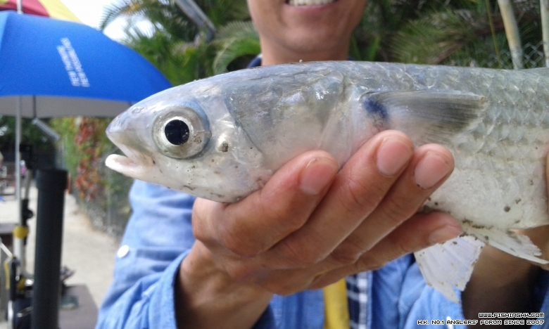 20150328_144134.jpg