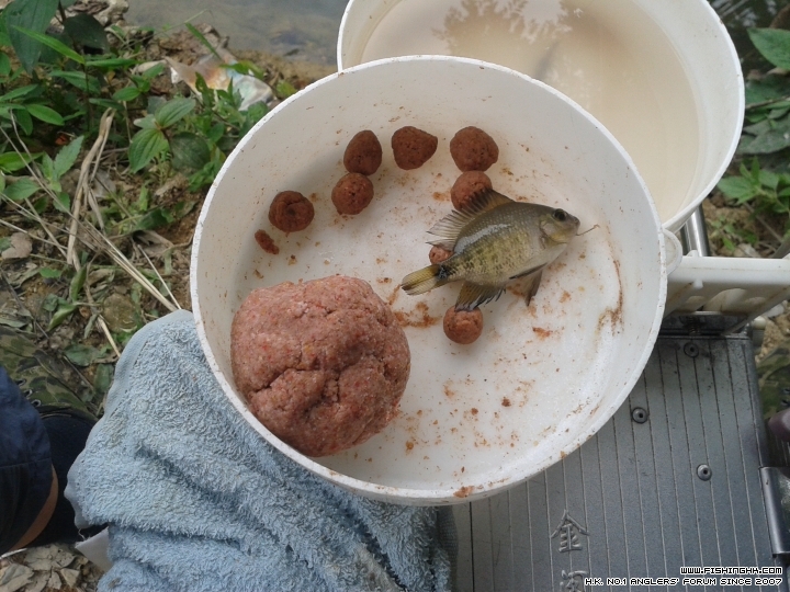 20150401_145021.jpg