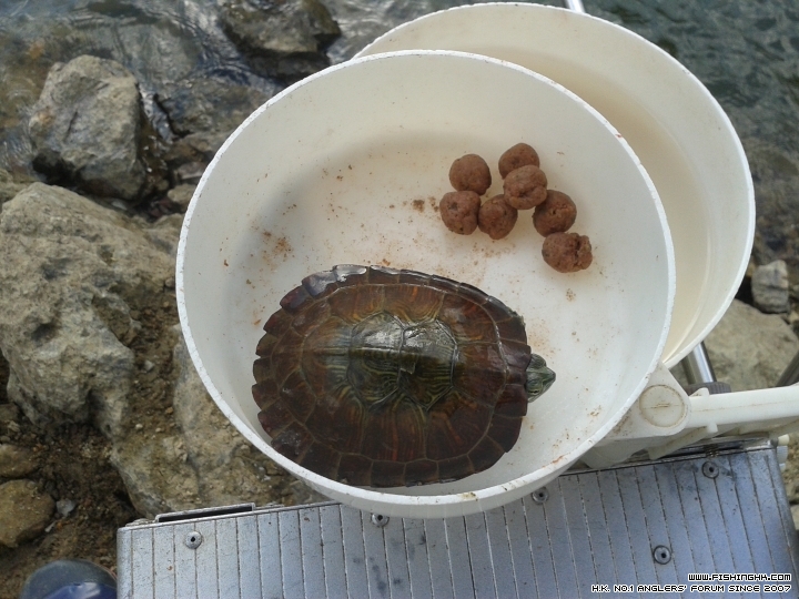 20150404_164547.jpg