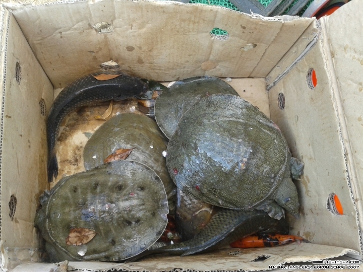 20150404_170033.jpg