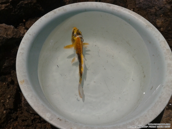 20150405_105654.jpg