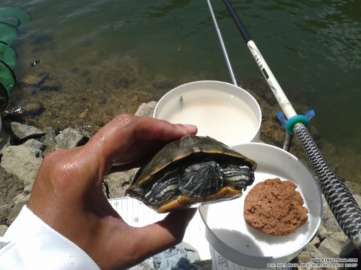 20150405_130350.jpg