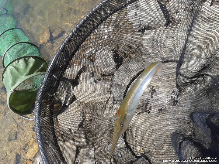 20150405_130704.jpg