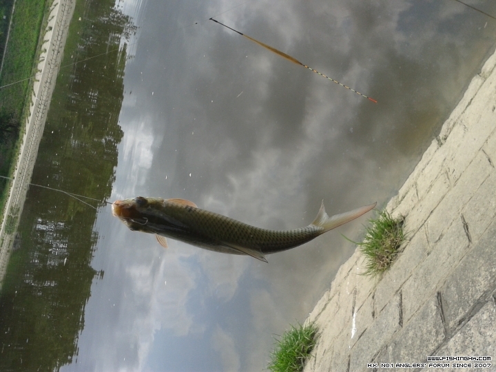 20150406_104521.jpg