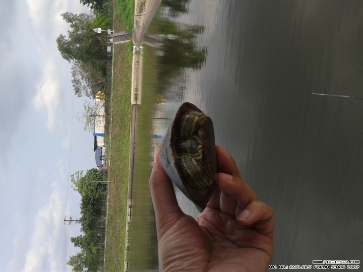 20150406_151357.jpg