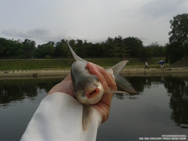 20150407_143358.jpg