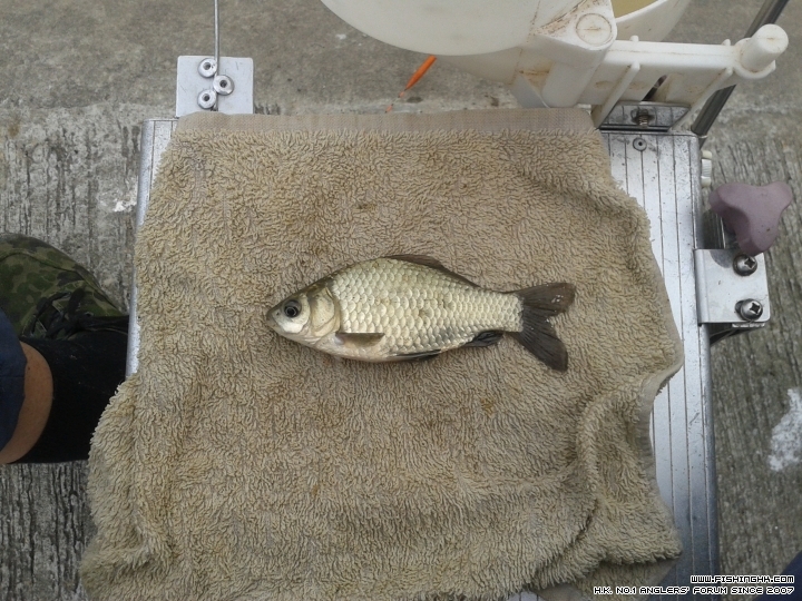20150407_150536.jpg