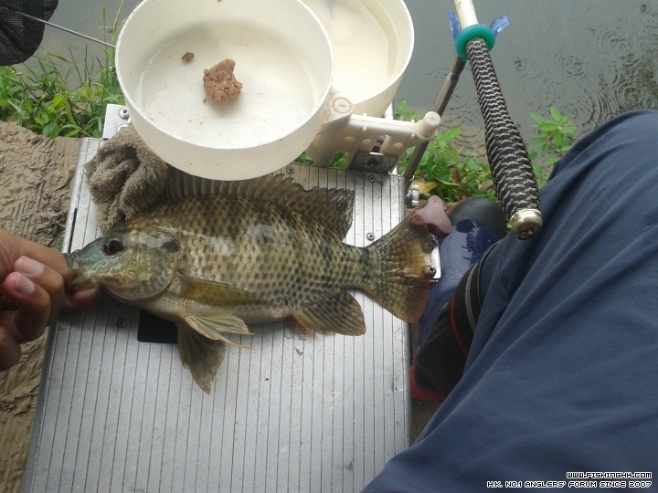 20150411_101317.jpg