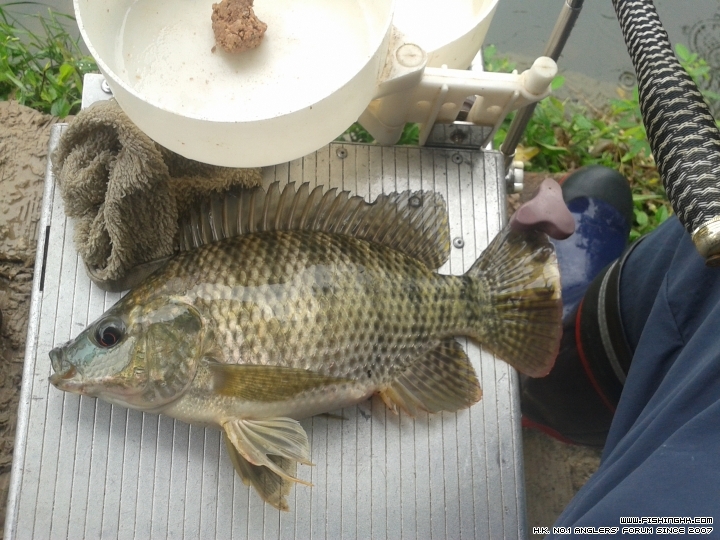 20150411_101355.jpg