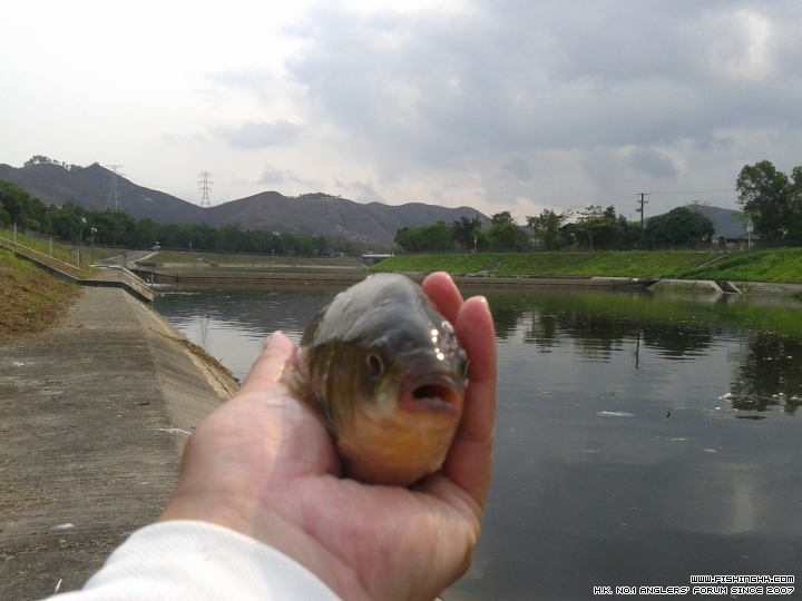 20150418_092131.jpg