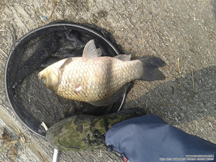 20150418_143701.jpg