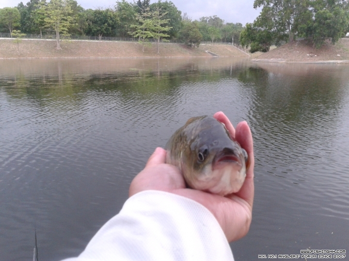 20150418_164844.jpg