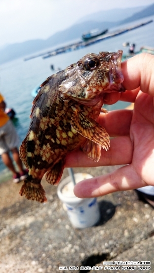 2015-04-05 11.56.31.jpg