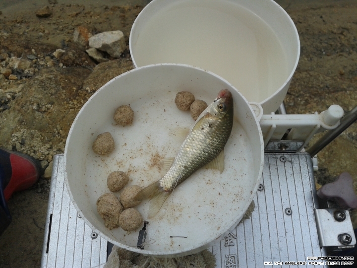 20150425_132415.jpg