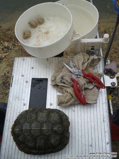 20150425_133957.jpg