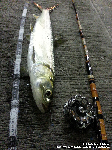 20150428_194246.jpg