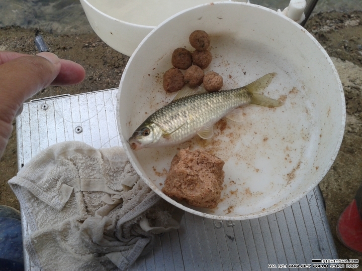 20150501_173055.jpg