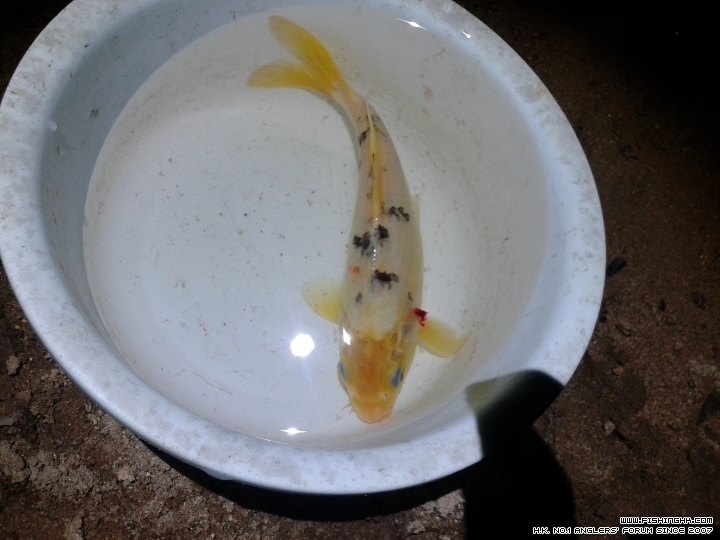 20150501_194234.jpg