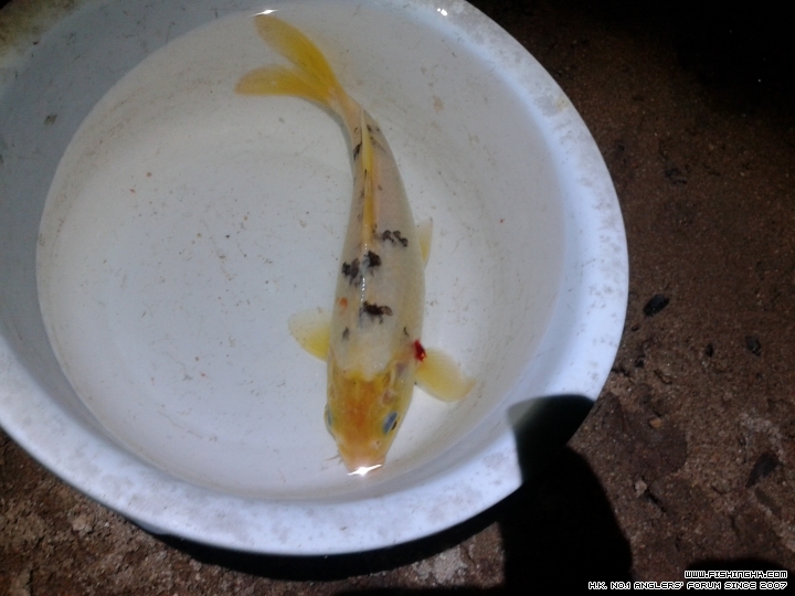 20150501_194239.jpg