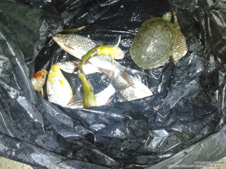 20150501_210946.jpg