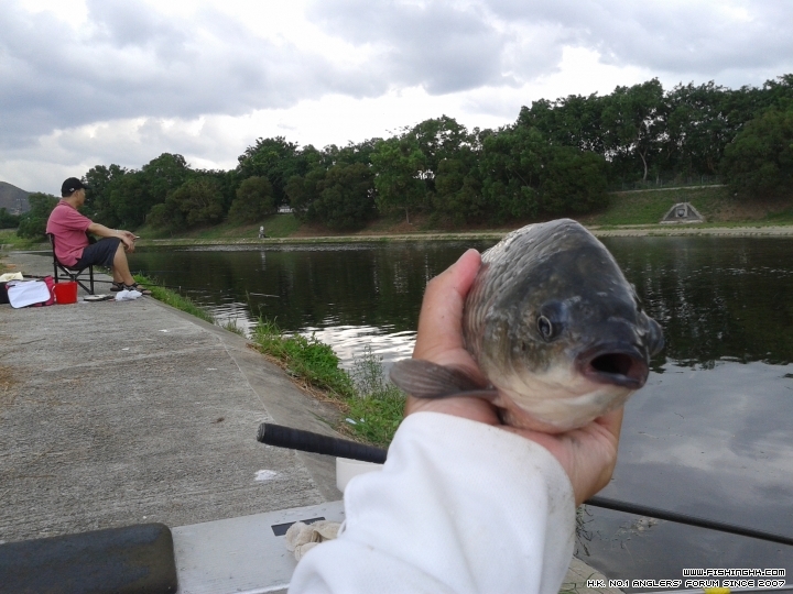 20150502_093150.jpg