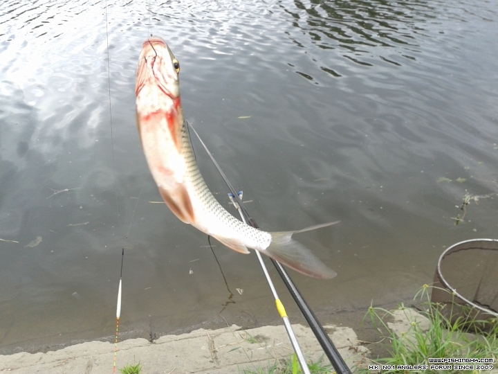 20150502_094115.jpg