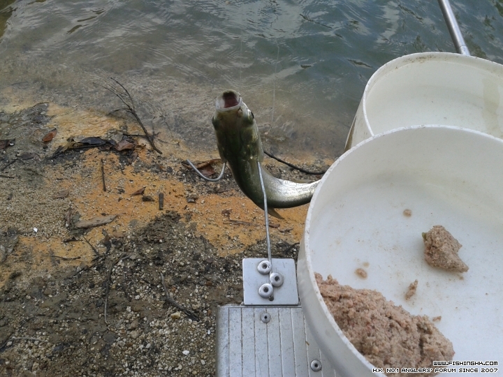 20150503_084638.jpg