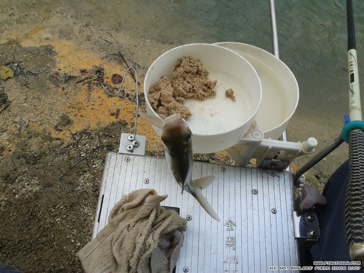 20150503_105550.jpg