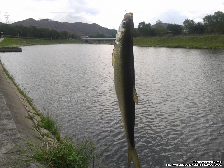 20150509_091919.jpg