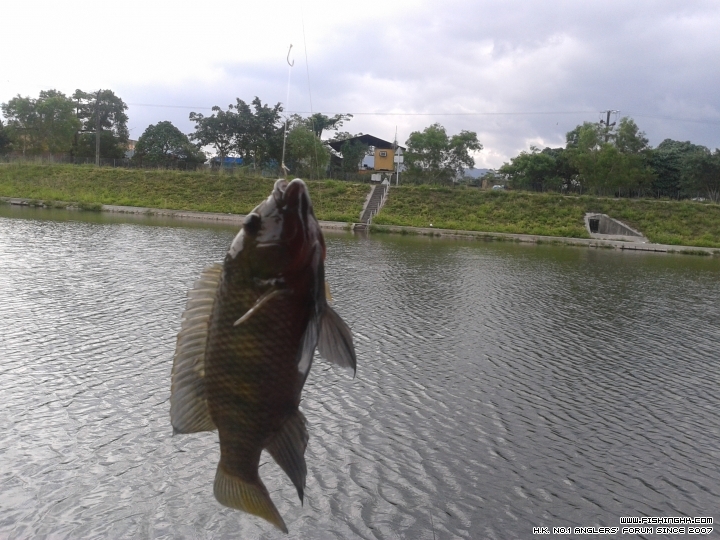 20150509_092656.jpg