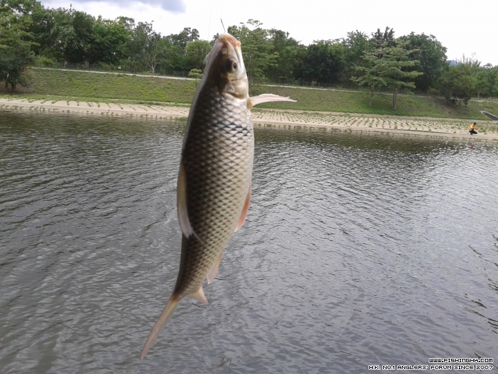20150509_114345.jpg