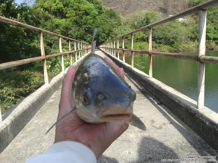 20150510_164402.jpg
