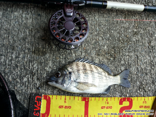 20150425_180003.jpg