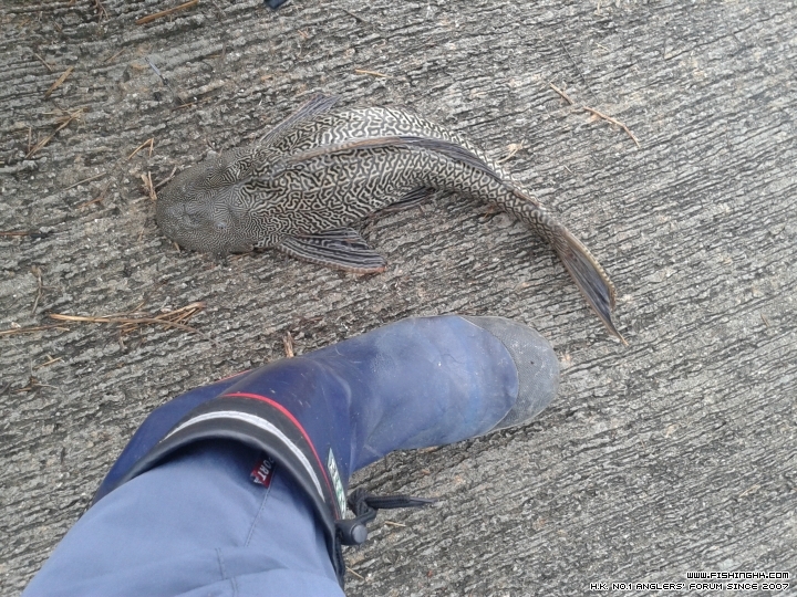20150516_083347.jpg