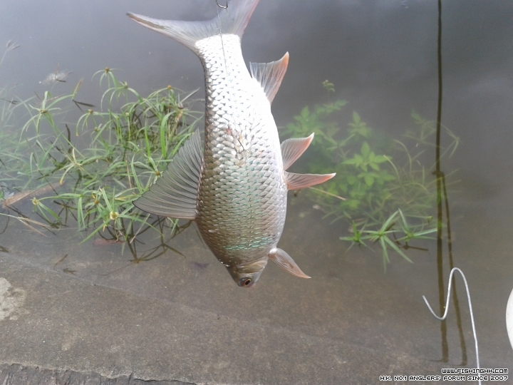 20150516_100854.jpg