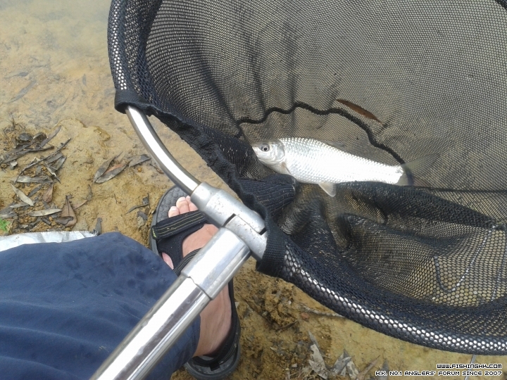 20150524_122425.jpg