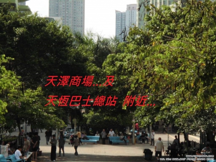 CIMG0370.JPG