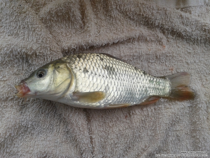 20150531_115330.jpg
