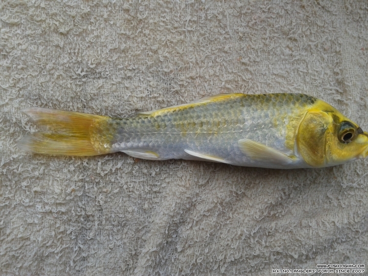20150531_151917.jpg
