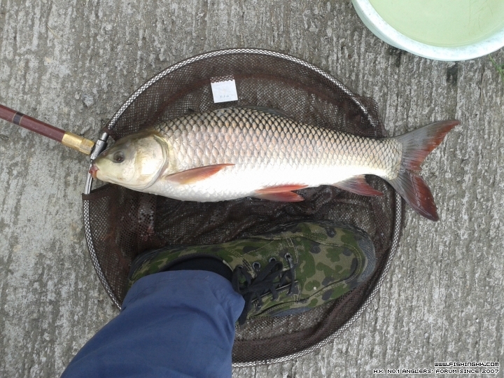 20150606_114105.jpg