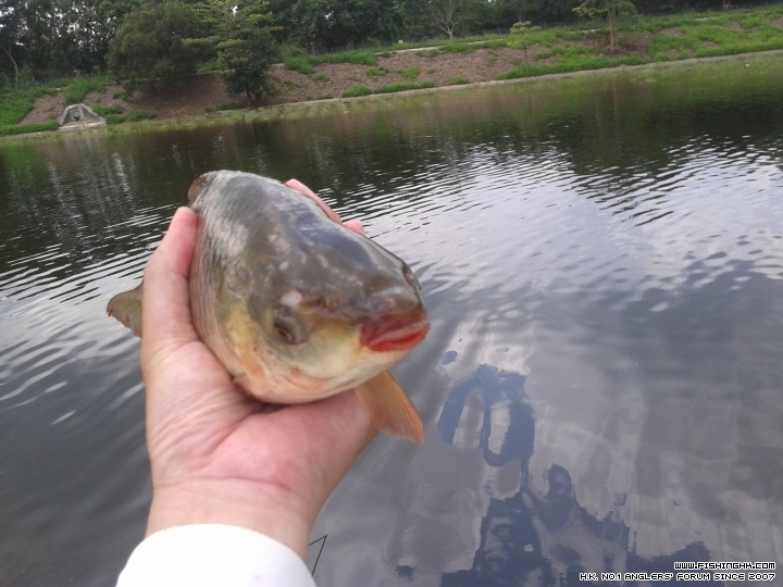 20150606_115655.jpg