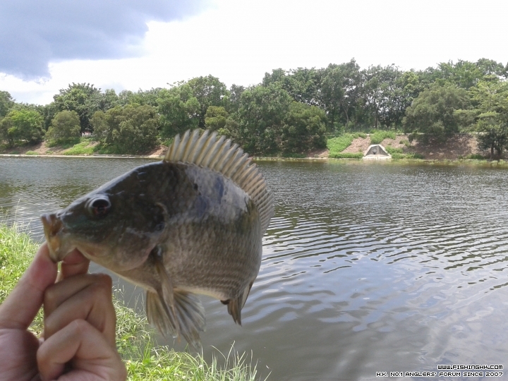 20150606_122035.jpg